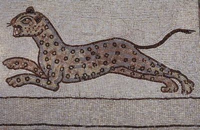 A leopard by Hans Leonard Schaufelein